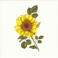 Tile B5