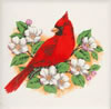 Cardinal Tile A1