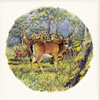 Deer Tile C1