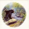 Bear Tile D1