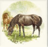 Horse Tile G4