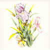 Flower Tile G5