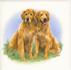 Dogs Tile H1